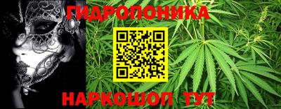 тгк Брянск