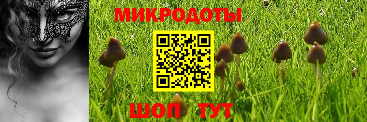 Псилоцибиновые грибы Cubensis Кропоткин